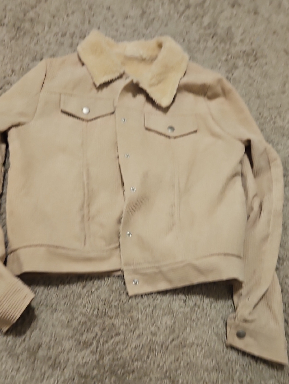 Altar'd State Beige Teddy Jacket with Faux Shearling Collar